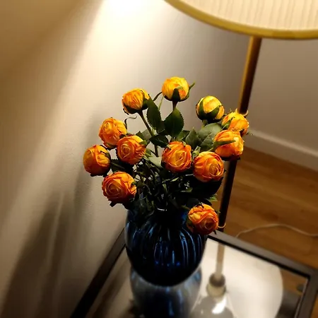 Panorama Loft@cathedral Lejlighed Szeged